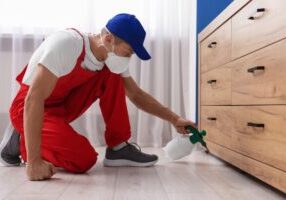 Importance of Regular Pest Control