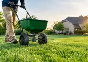 Lawn Fertilization Timing Guide for North Texas