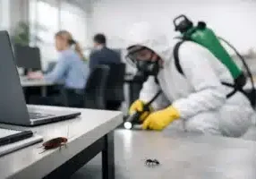 Office Pest Prevention for DFW Workplaces